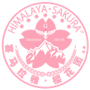 sakuralogopink