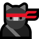 Ninjacat